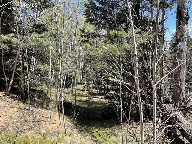 146 Gibson Road