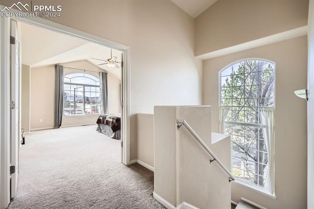 6596 High Knolls Grove