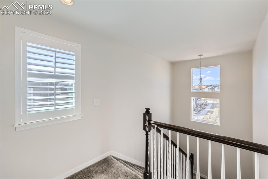 11253 Modern Meadow Loop