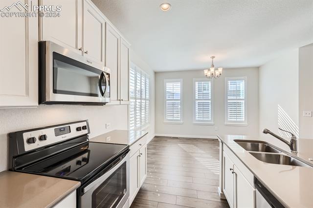 11253 Modern Meadow Loop