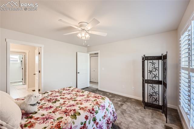 11253 Modern Meadow Loop