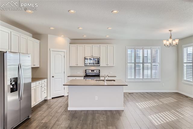 11253 Modern Meadow Loop