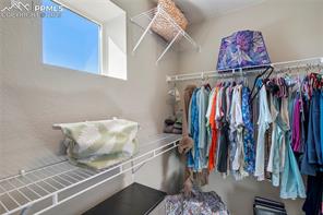 11362 Modern Meadow Loop