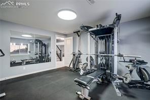 2917 Wild Cherry Lane