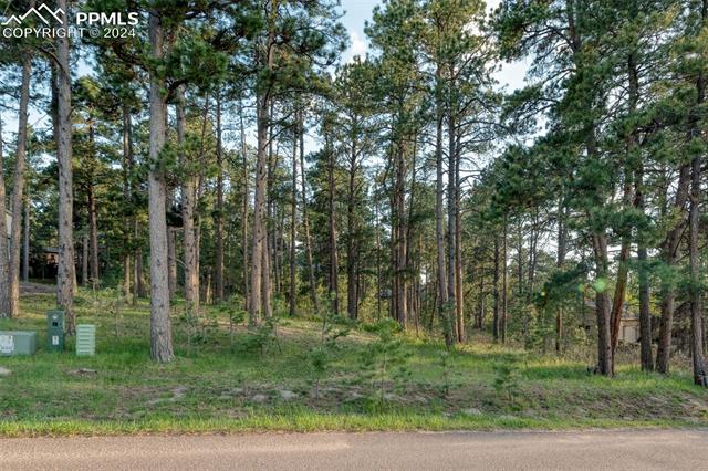 1295 Lone Scout Lookout