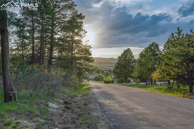 1295 Lone Scout Lookout