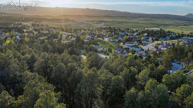 1295 Lone Scout Lookout