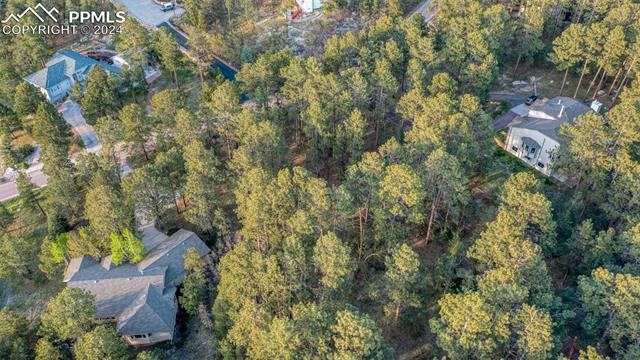 1295 Lone Scout Lookout