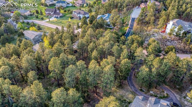 1295 Lone Scout Lookout