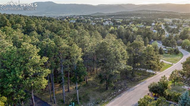1295 Lone Scout Lookout
