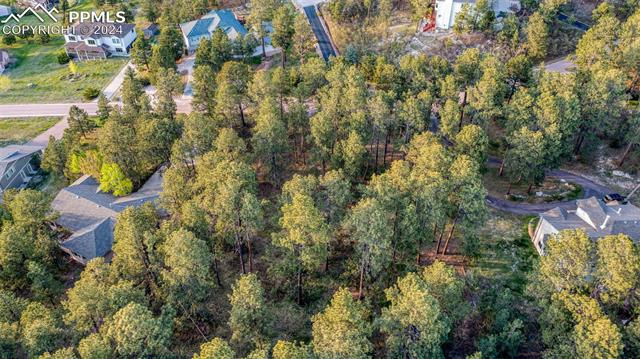 1295 Lone Scout Lookout