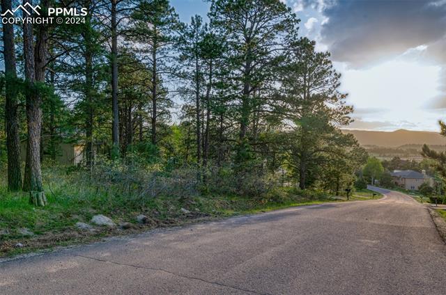 1295 Lone Scout Lookout