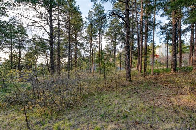 1295 Lone Scout Lookout