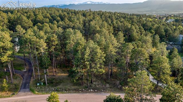 1295 Lone Scout Lookout