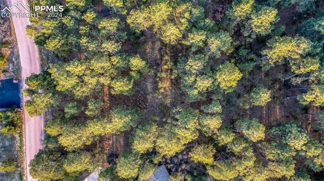 1295 Lone Scout Lookout