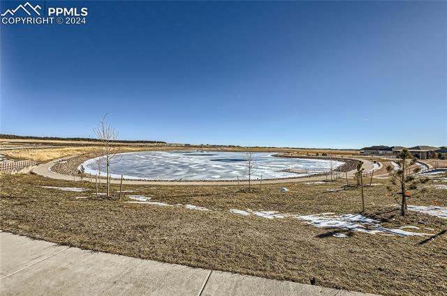 6339 Alyssum Heights