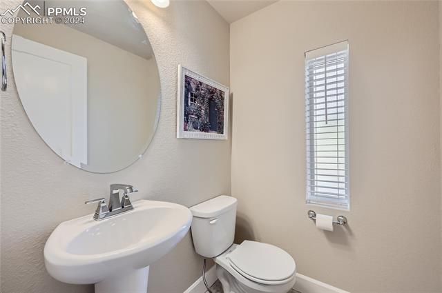 6339 Alyssum Heights