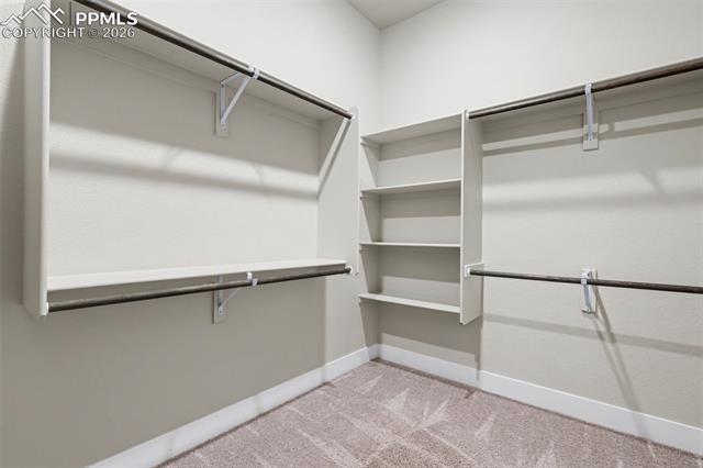 6532 Twin Falls Court