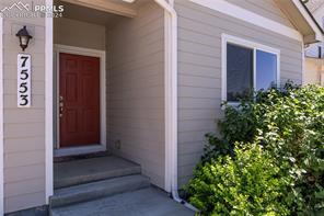 7553 Alpine Daisy Drive
