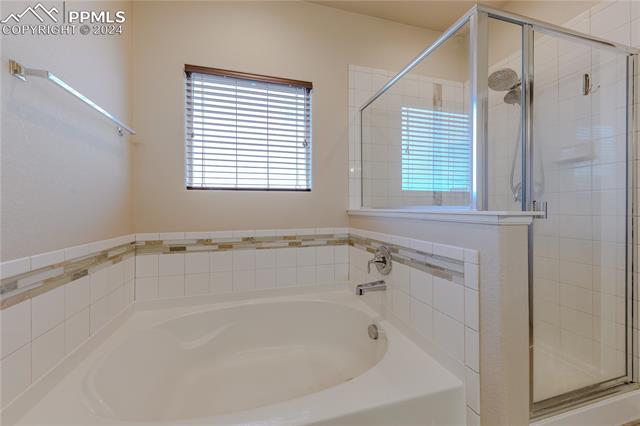 7553 Alpine Daisy Drive