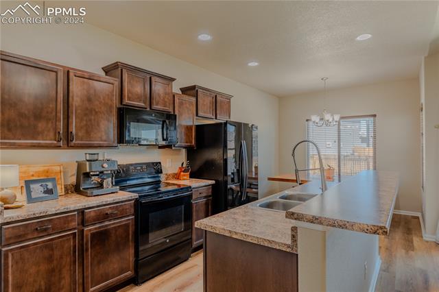 7553 Alpine Daisy Drive