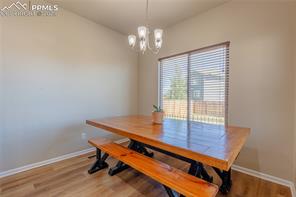 7553 Alpine Daisy Drive