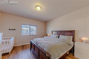 7553 Alpine Daisy Drive
