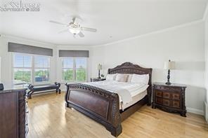 4271 Star Vista Court