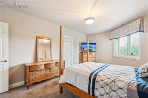 4271 Star Vista Court