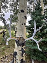 9010 Not applicable Road