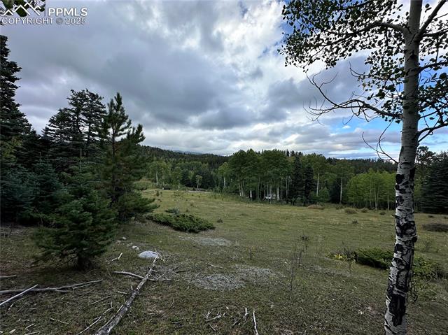 9010 Not applicable Road