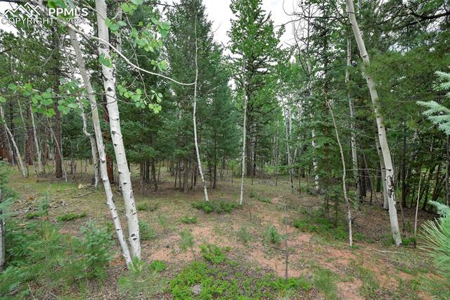 1360 Windflower Lane