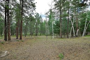 1360 Windflower Lane