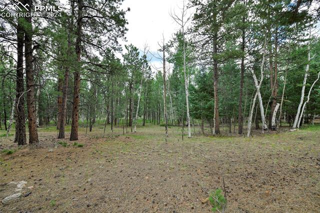 1360 Windflower Lane