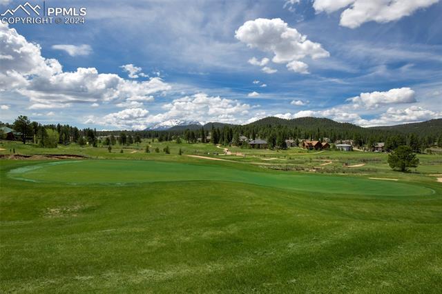 1360 Windflower Lane