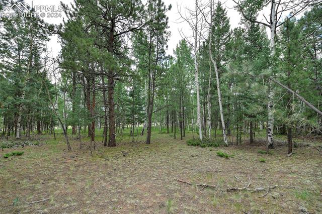 1360 Windflower Lane