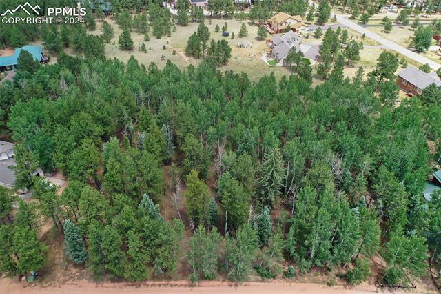 1360 Windflower Lane