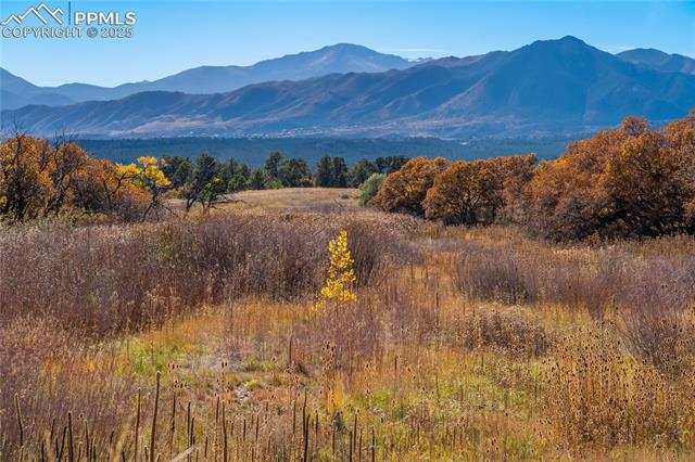 1117 Barbaro Terrace