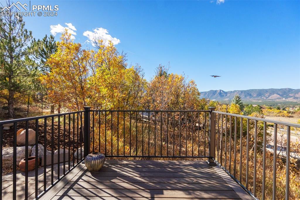 14805 Pristine Drive