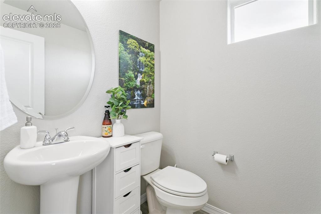 7427 Gorgeted Quail Grove