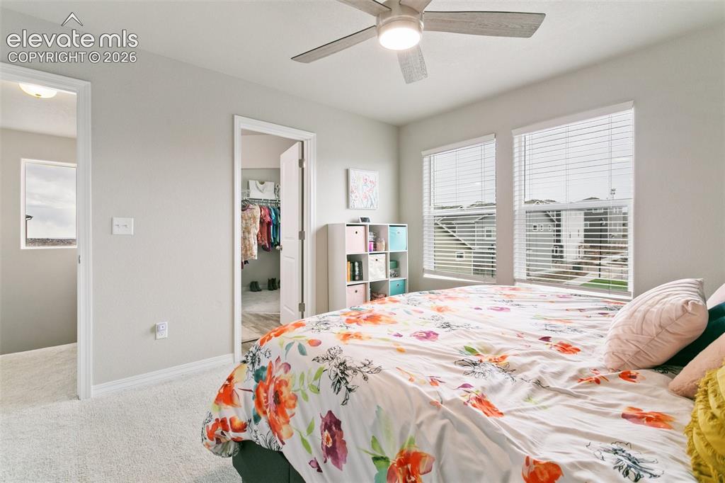 7427 Gorgeted Quail Grove