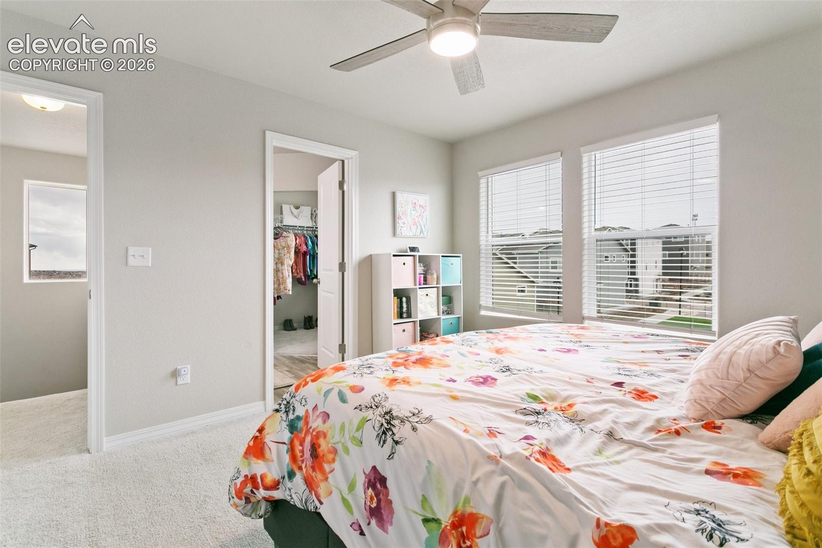 7427 Gorgeted Quail Grove