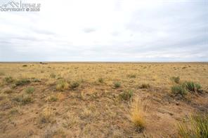 30390 Carl View