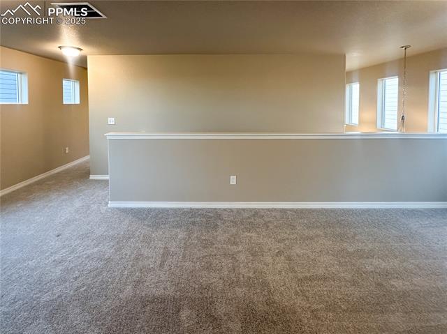 8173 Isabel Place