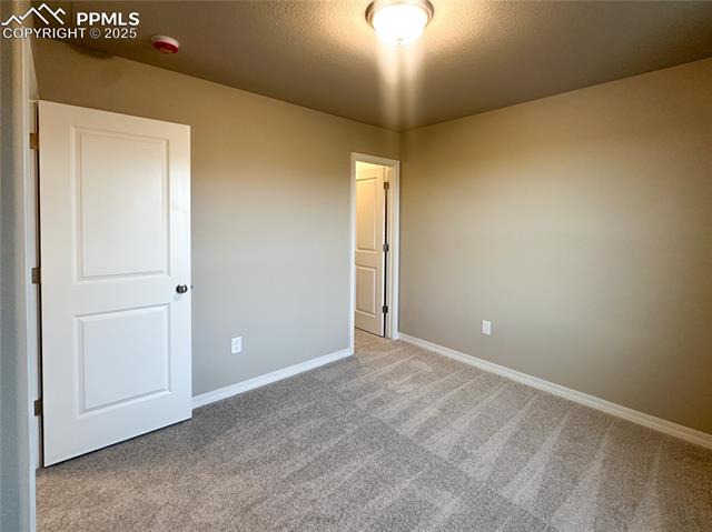 8173 Isabel Place