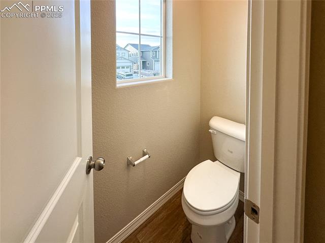 8173 Isabel Place