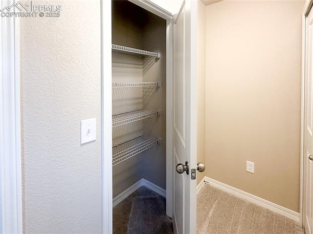 8173 Isabel Place