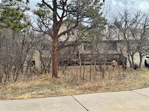 2220 Cape Pine Way