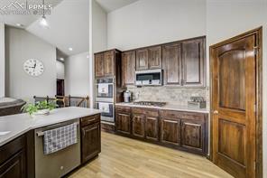 12095 Silver Concho Trail