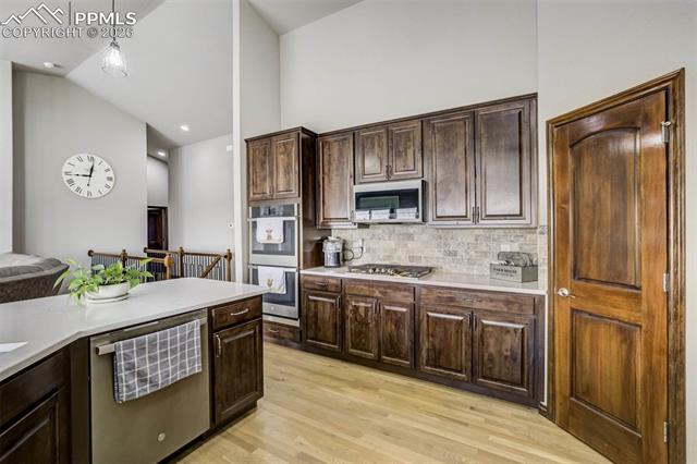 12095 Silver Concho Trail